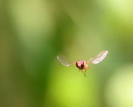 budowa sklepu internetowego Prudnik firma informatyczna