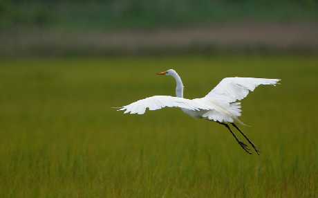najlepsze reklamy Piła