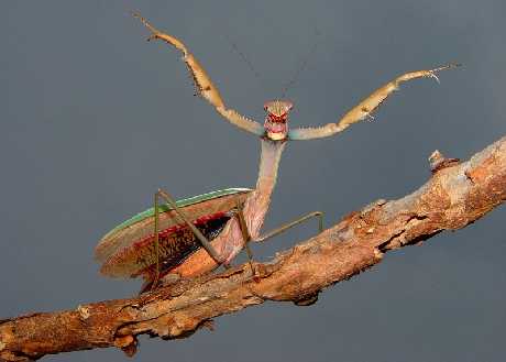 projektowanie sklepów www Piła