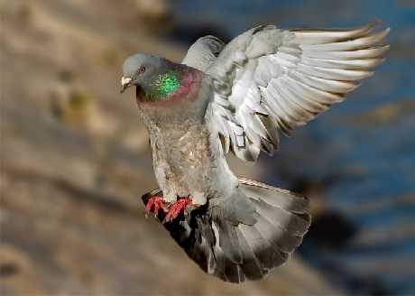 projektowanie sklepów internetowych Piła