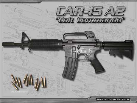 projektowanie stron www Piła