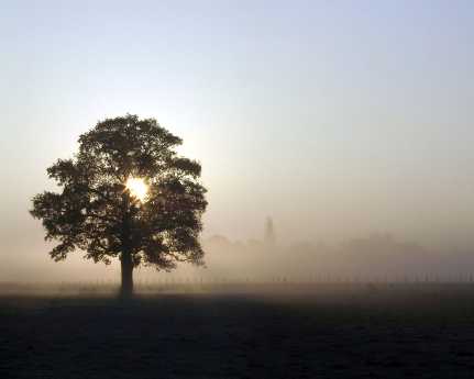 strony internetowe Piła