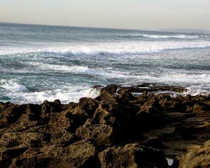 Piła strony internetowe