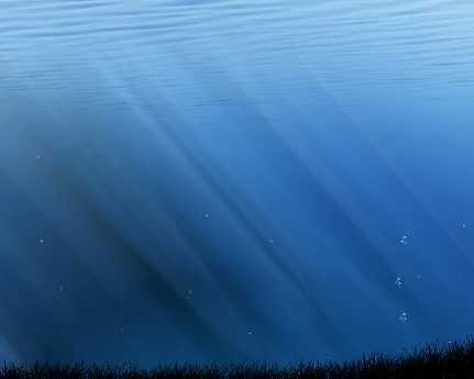 projektowanie stron internetowych Chodzież