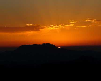 projektowanie strony www Małomice