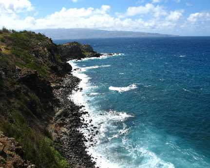 robienie sklepu internetowego Piła