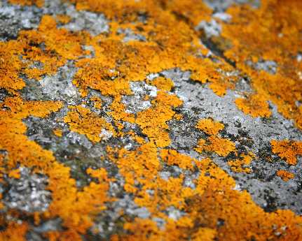 tworzenie sklepu www Trzcianka