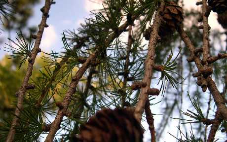 pozycjonowanie stron Lewin Brzeski
