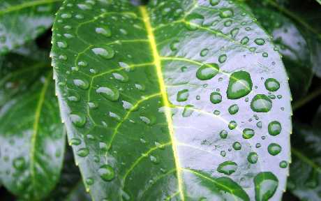 pozycjonowanie stron www Pila