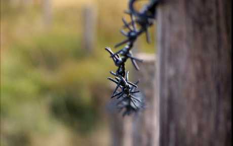 strony internetowe Jelenia Góra