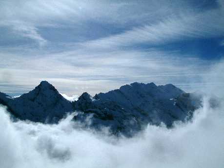 Zator zakładanie stron internetowych tanio