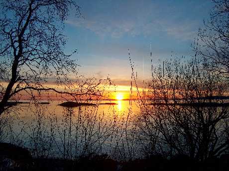 Pila pozycjonowanie stron www