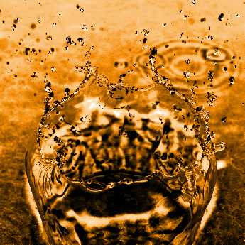 tworzenie stron internetowych Piła