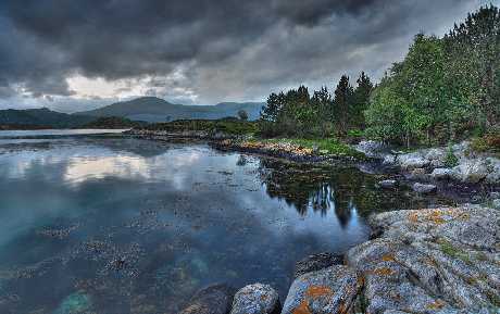 strony internetowe Piła