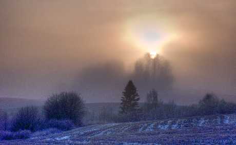 budowa strony www Sulejówek ceny