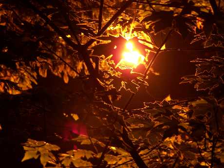 strony internetowe Piła