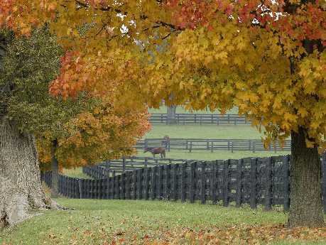 strony internetowe Piła