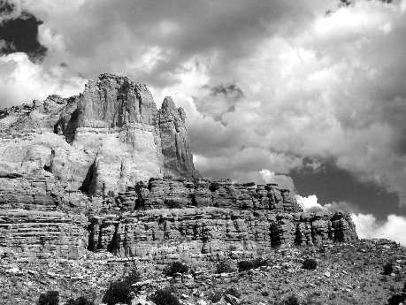 tworzenie stron www Piła