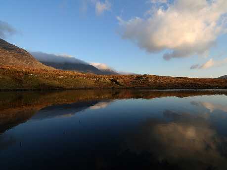 strony internetowe Pila