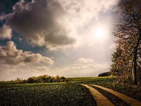 tworzenie stron www Piła