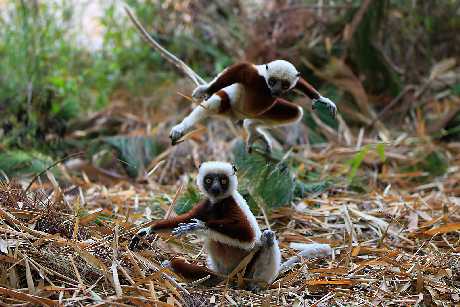 strony internetowe Piła