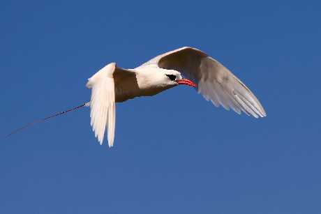 strony internetowe Piła