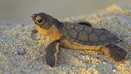 projektowanie stron www Piła