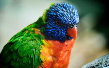 tworzenie sklepów www Piła