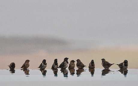 budowa stron www dla firm zagraniczne Jarocin strony internetowe na telefony