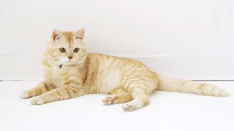 tworzenie sklepow internetowych Pila