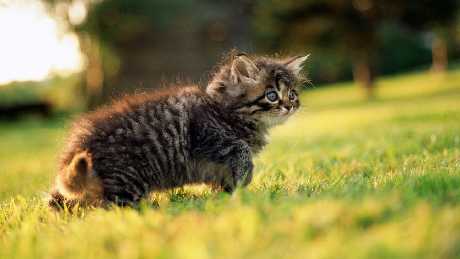 projektowanie stron internetowych Piła