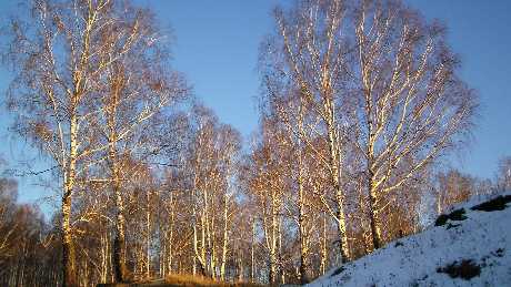 Piła strony internetowe