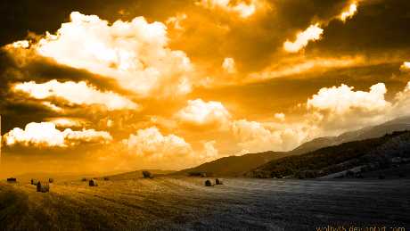 strony internetowe Piła