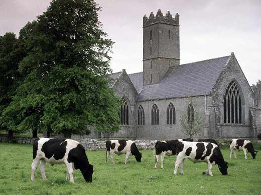 Piła strony internetowe