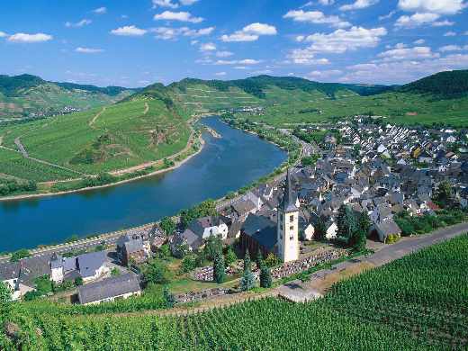 Piła pozycjonowanie