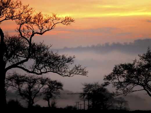 projektowanie stron internetowych Piła