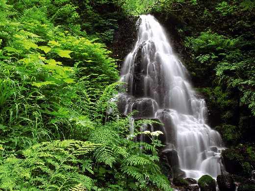 tworzenie stron www Piła