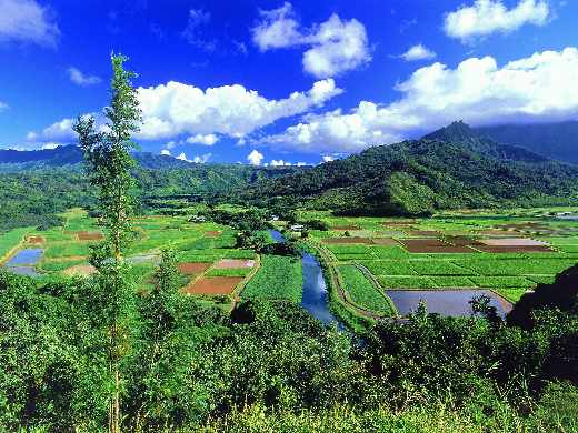 tworzenie stron internetowych Piła