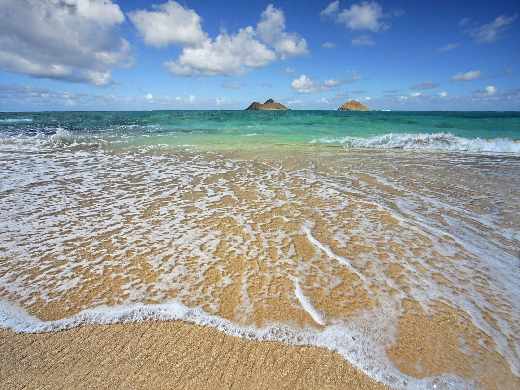 sklepy dla puszystych Poznań