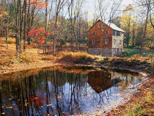 tworzenie stron internetowych Piła