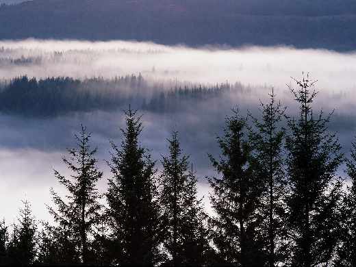 sklepy internetowe Złotów