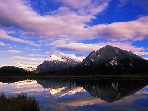 architekt domu Toruń