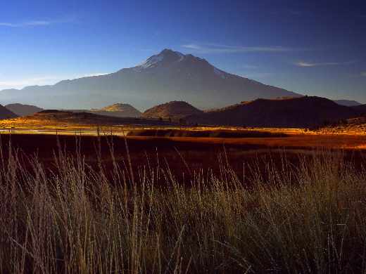tworzenie stron internetowych Piła