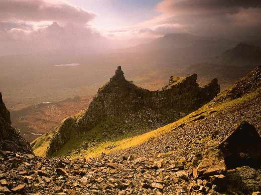 strony internetowe Piła