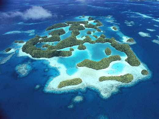 budowa stron internetowych Piła