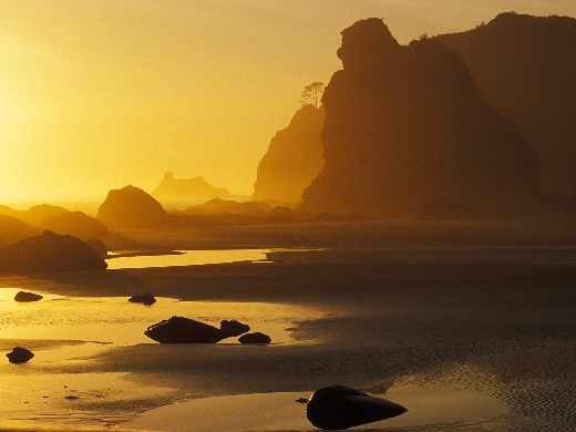 pozycjonowanie stron internetowych Piła