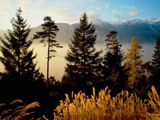 tworzenie stron www Piła