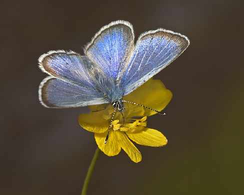 pracownia architektoniczna Torun
