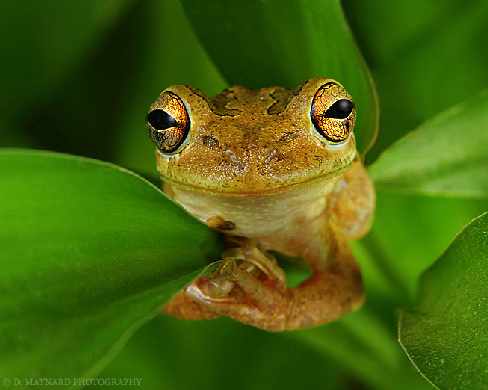 pozycjonowanie stron Oświęcim