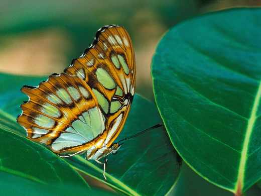 projektowanie stron www Piła